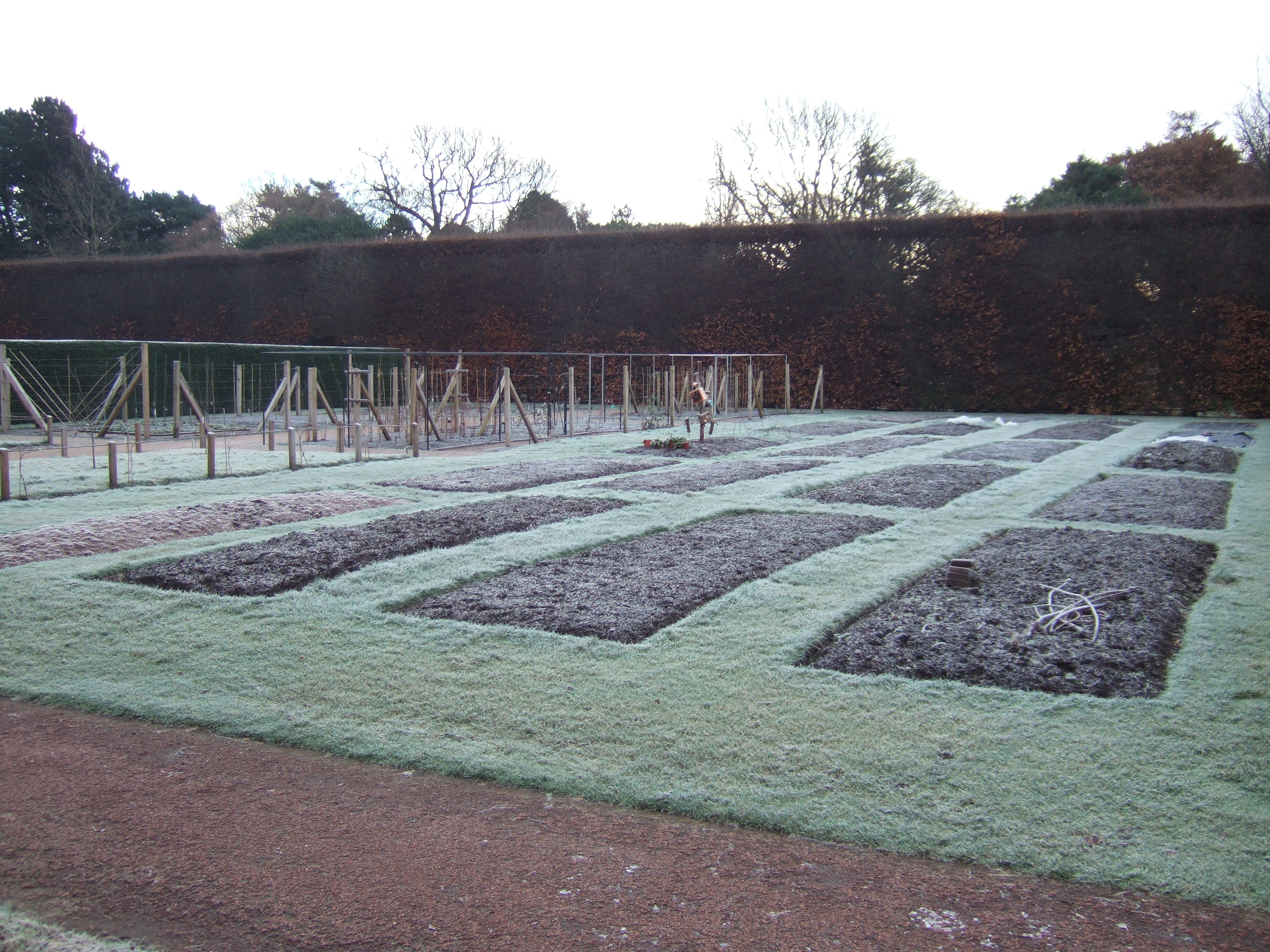 The plots in January 2013