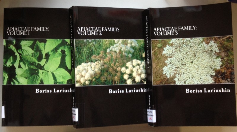 Apiaceae Family