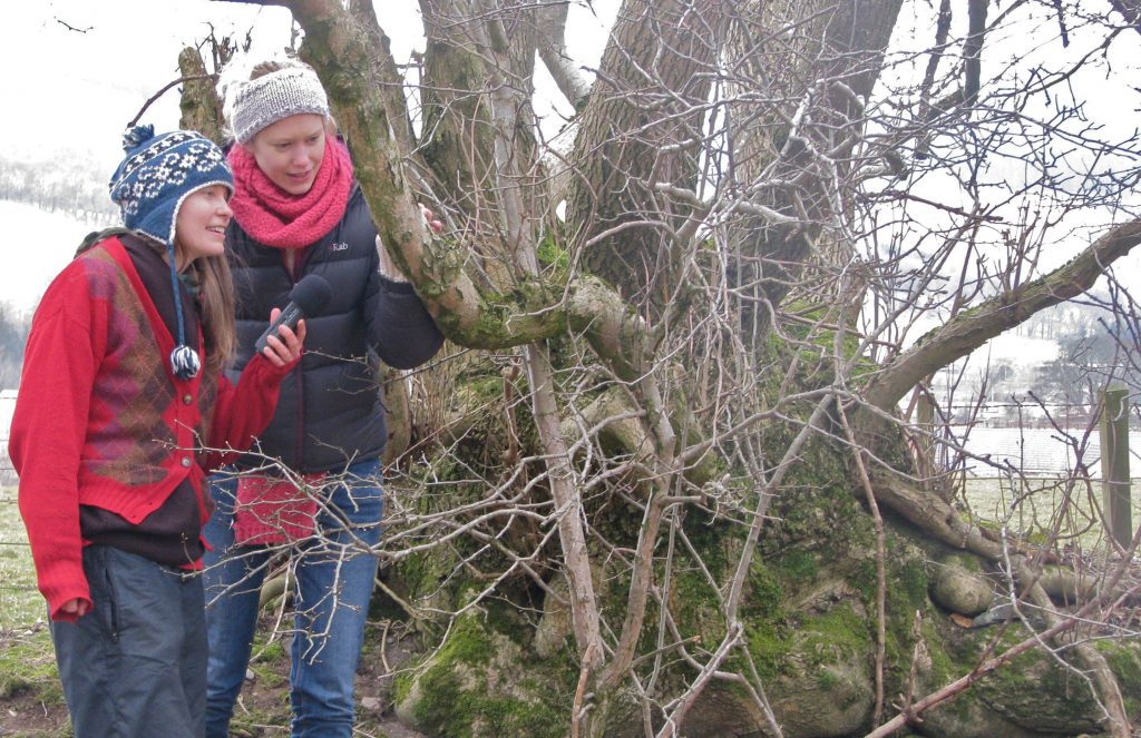 Ali Murfitt and lichenologist Sally Eaton inspect the lichen flora of ash trees