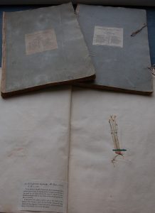 George Don's Herbarium Britannicum