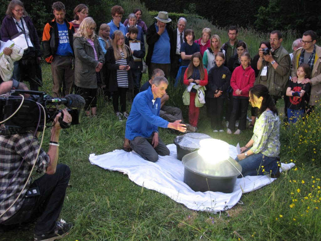 Opening of the moth trap live on TV as part of the BBC Midsummer Live programme