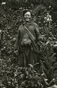 "Rhoomoo Lepcha holding a yellow flowered Meconopsis paniculata photographed in the Sikkim forests below Changu Lake" June 1913. Photograph and text R.E. Cooper. RBGE Library Archive