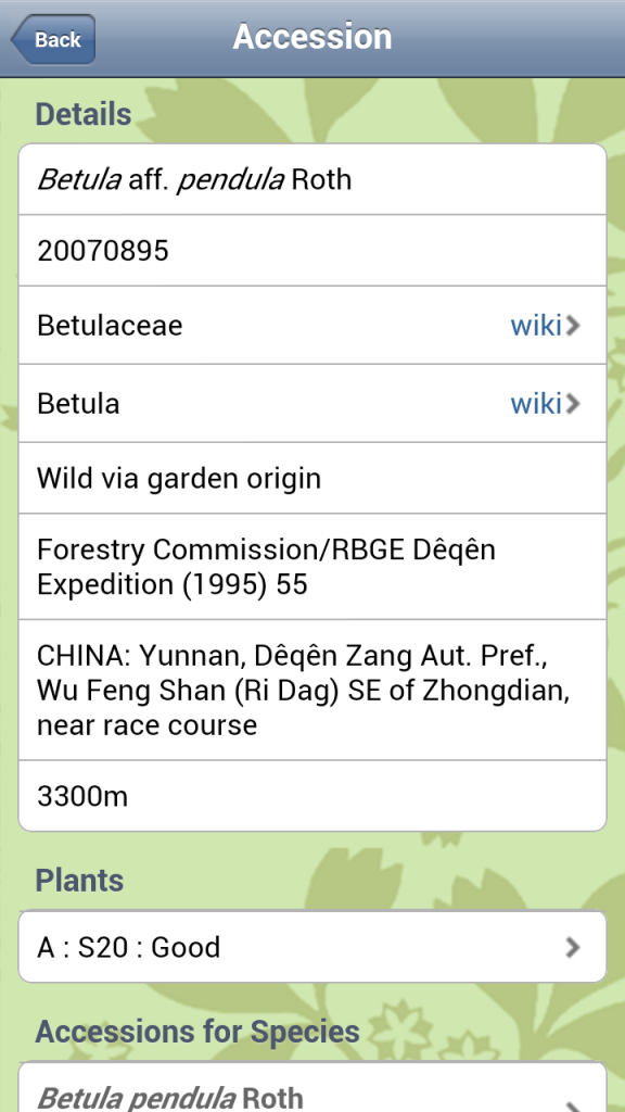 Entering the accession number in the app displays details about its origins and what other plants there are in this accession. In this case there is only one plant.