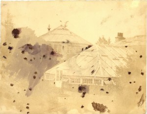 Image of the Octagonal Palm House taken in 1854. Note the Palm fronds breaking through the roof. Photographer: Dr. Duncan. Image: Archives of the Royal Botanic Garden Edinburgh