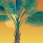 The World of Palms