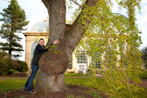 Hug a tree at the Botanics on 1st December at 12 noon and help break a world record.