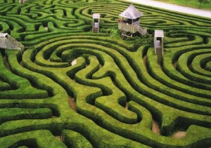 The hedge maze on the Longleat estate in Wiltshire