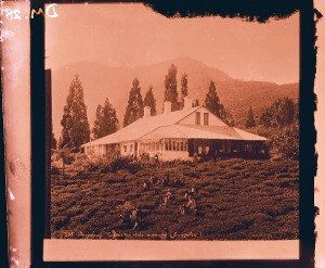 'Darjeeling Tukvar tea state manager's bungalow. [c. 1880] Sir George Watt's Indian images. Archive Royal Botanic Garden Edinburgh
