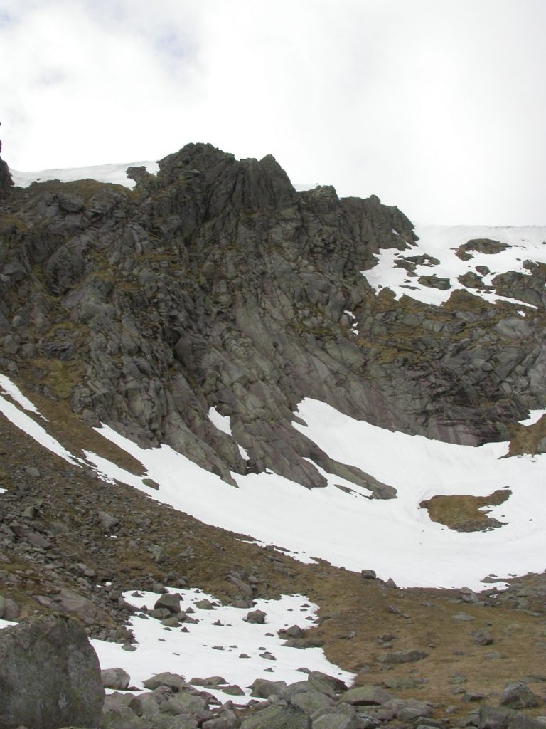Snow-beds provide a specialised habitat for communities of lichens and bryophytes in Scotland's mountains.