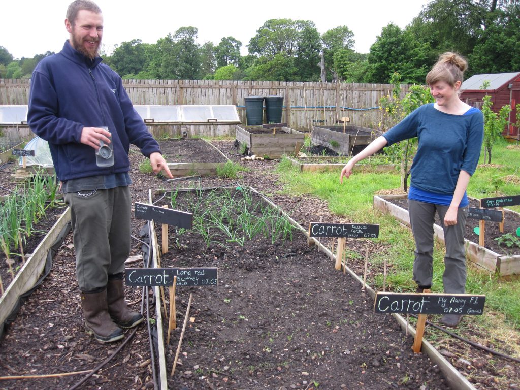 Dee and Michael with the newly sown trial plots at Hermitage Vegetable Garden, Edinburgh.