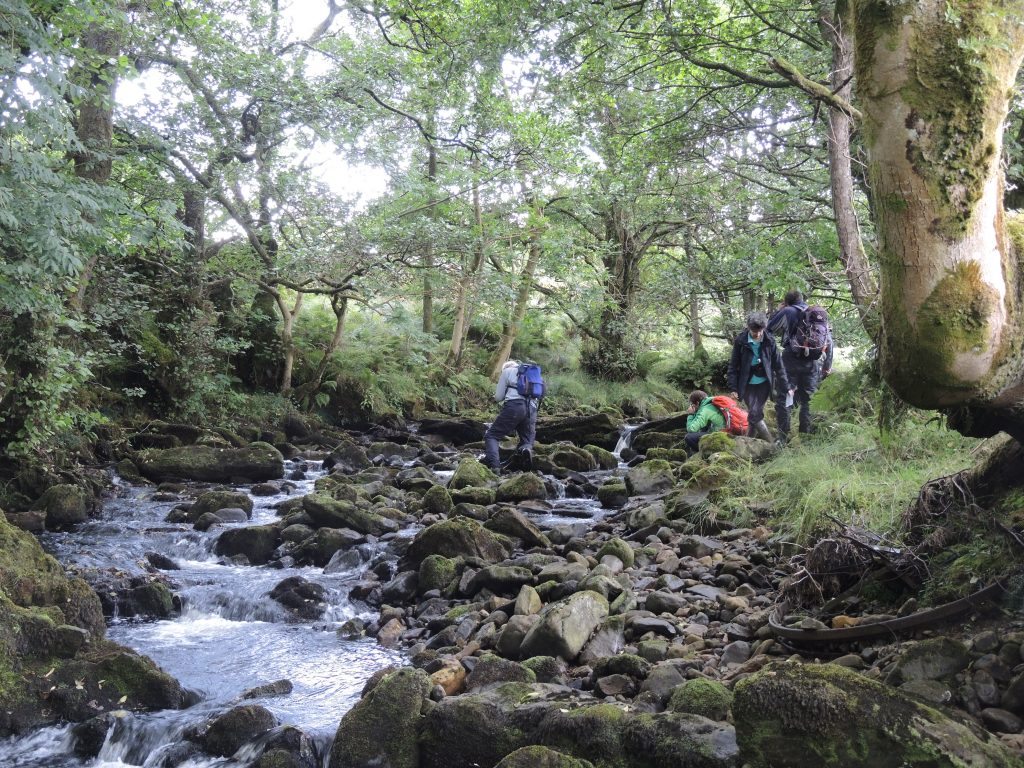 Bryologists searching Black Burn