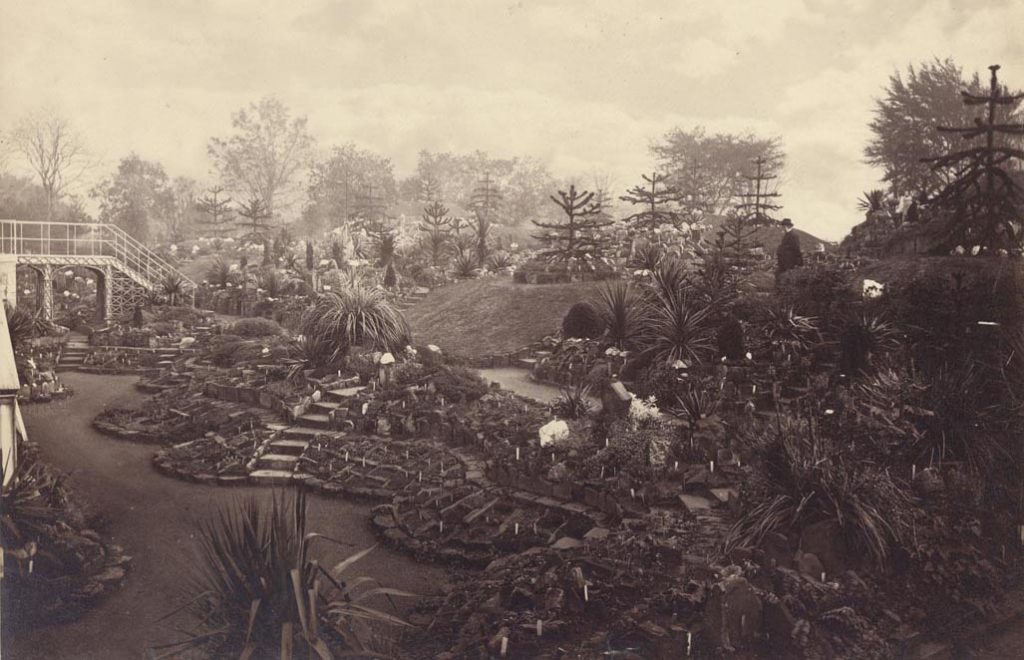 The RBGE Rock Garden c1874 with the figure in question top right.