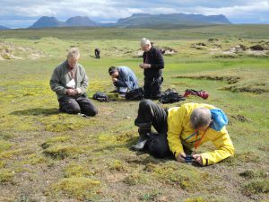 Nordic bryologists at Achnahaird Bay, Wester Ross
