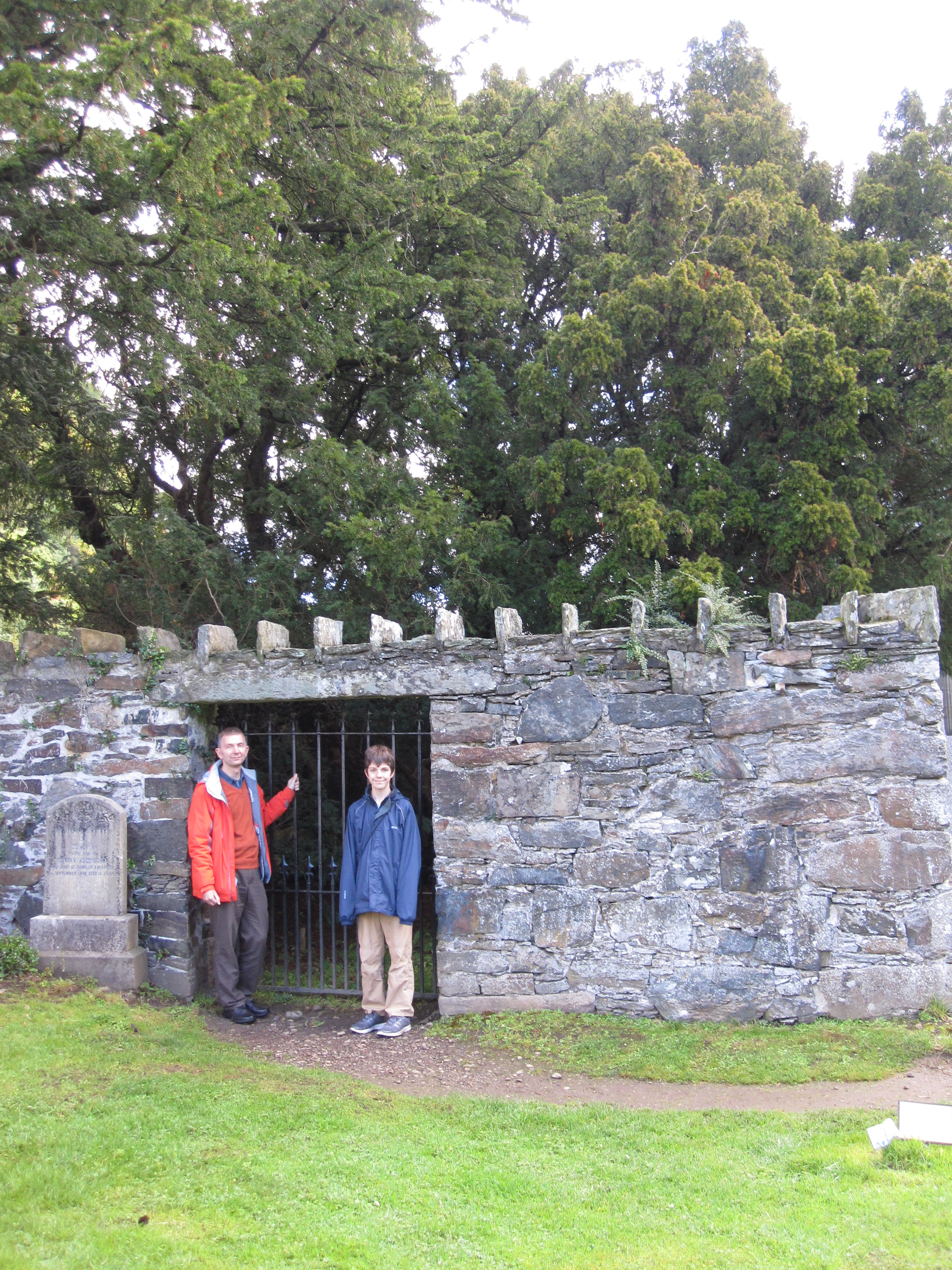 A visit to the Fortingall Yew on 12th October 2015 when three yew berries were collected from one discreet part of the canopy.