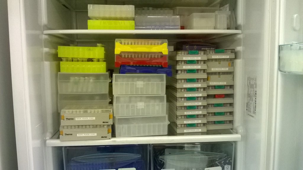 A fridge-full of DNA at RBGE
