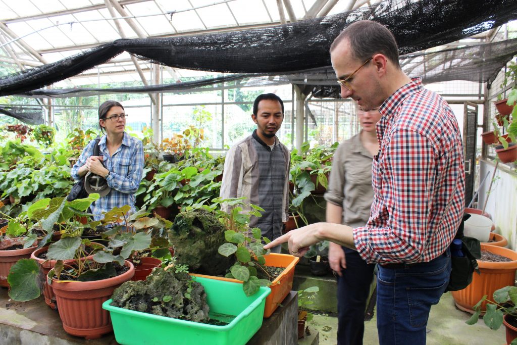 the team looks around the Begonia collection with Wisnu Ardi