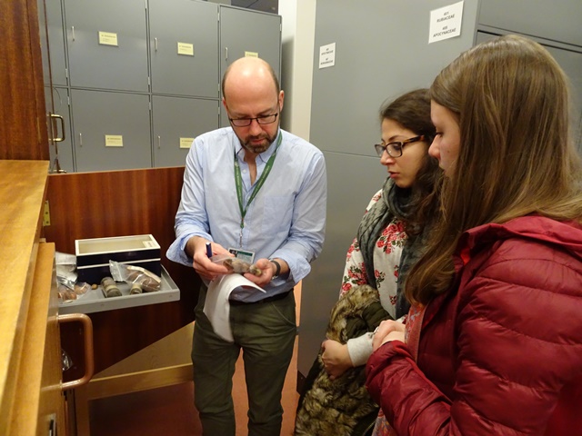 Examining Sapotaceae fruits and seeds in the Herbarium with Sapotaceae researcher Peter Wilkie.