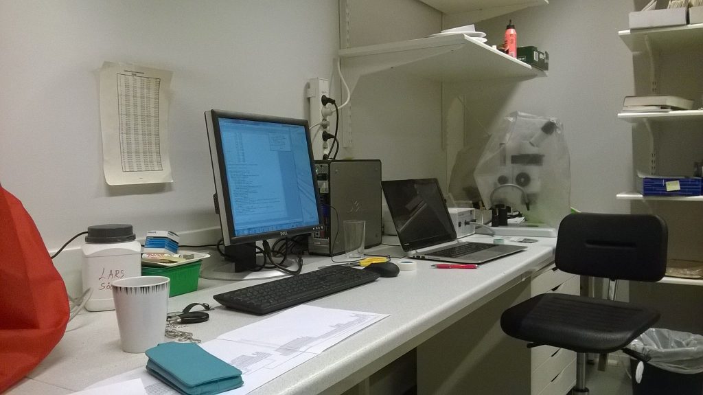 Building phylogenetic trees in the University Herbarium, Trondheim