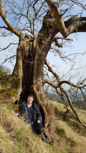 This ancient ash provided an invaluable habitat for the author to take lunch in