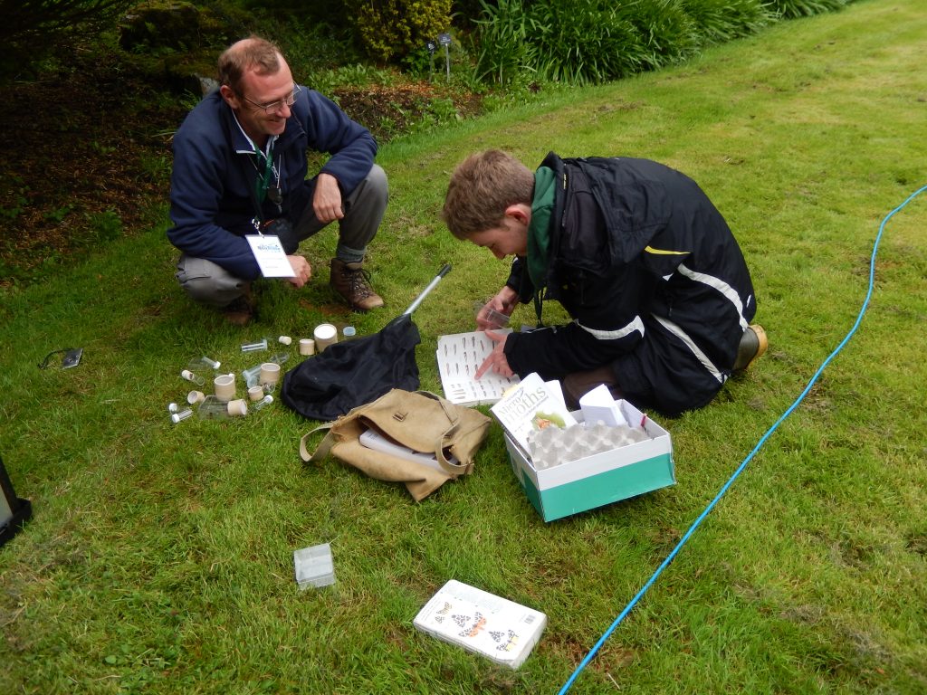 Tom and Andrew identifying moths.