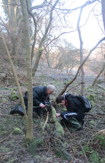 David Long and Kenneth checking out the Lophocolea on a decaying log in the Scottish Borders