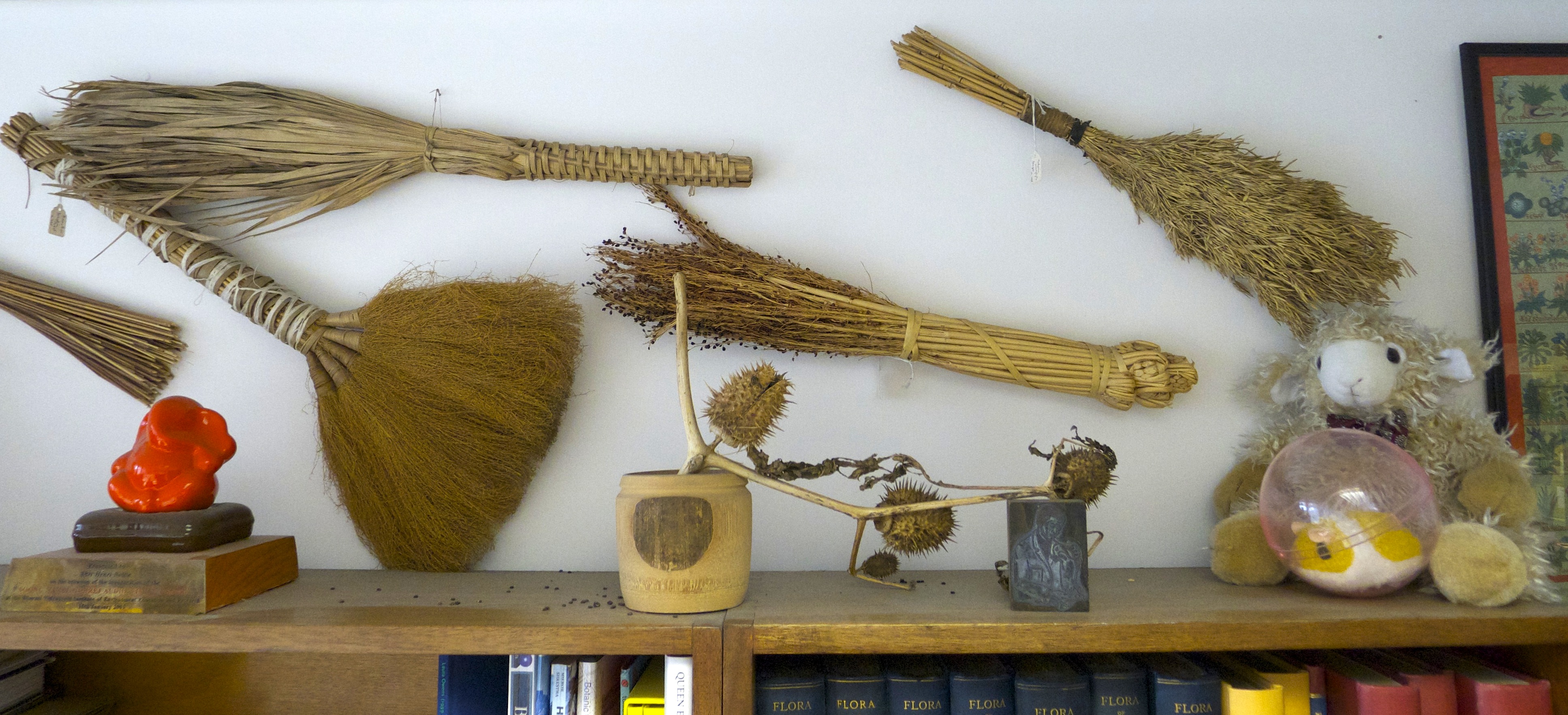 Of Botanists and Brooms Botanics Stories