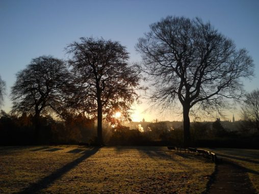 Early morning skyline from Inverleith House lawn 15 11 2010