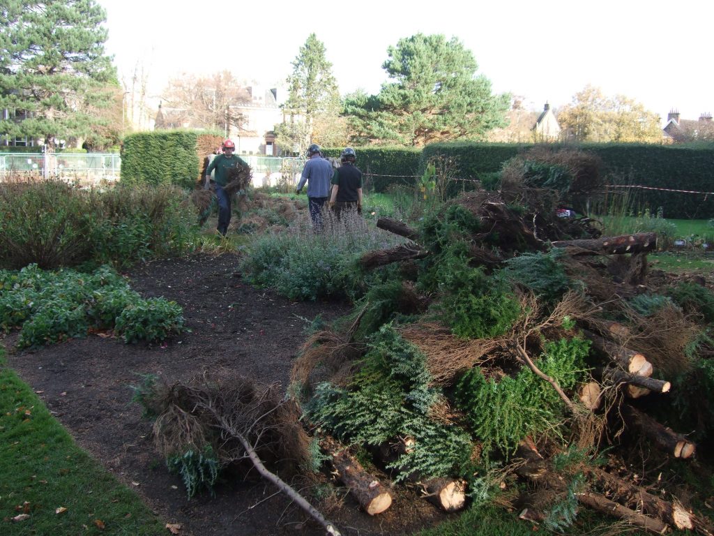 Student Heritage Apple Project in the Demonstration garden Botanics
