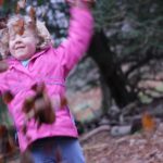 forestfamilies 60