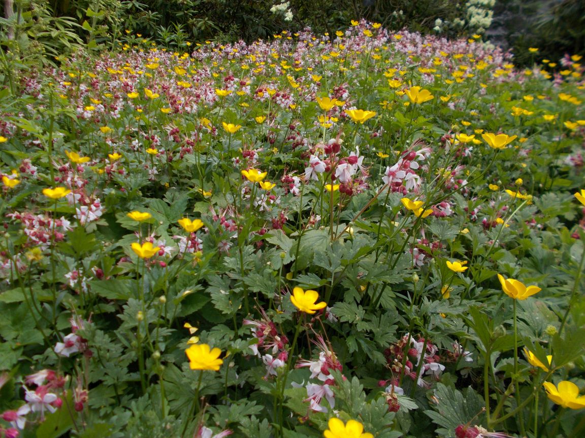 Unintended consequences – Botanics Stories