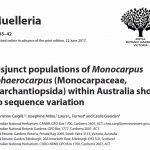 Monocarpus headline