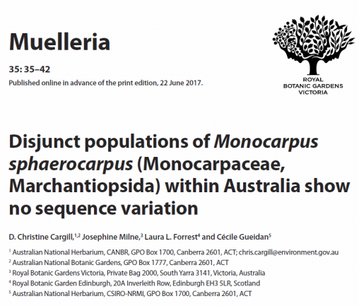 Monocarpus headline