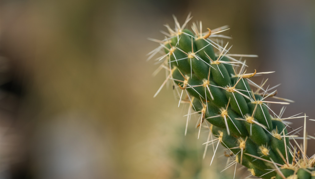 Free Course: How Plants Fight Back! - Botanics Stories