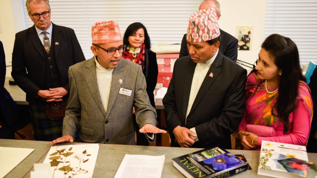 x Nepalese Ambassador 15