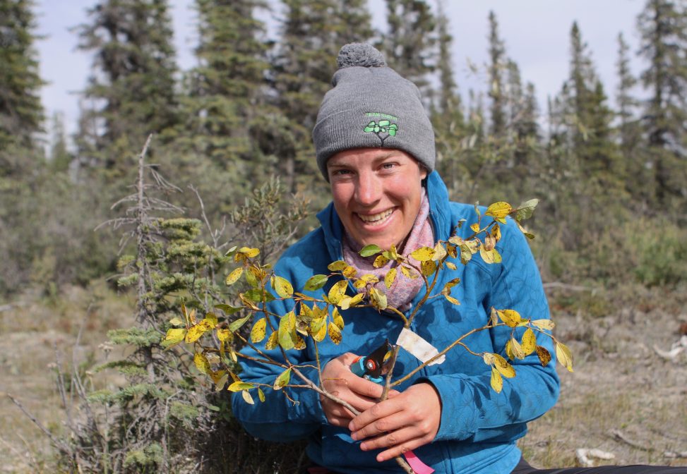 Isla Myers Smith headshot 2017