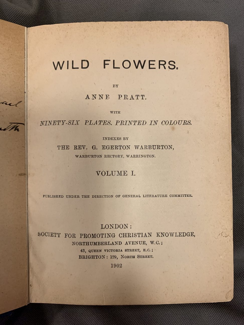 The Tale of Anne and Beatrix – Botanics Stories