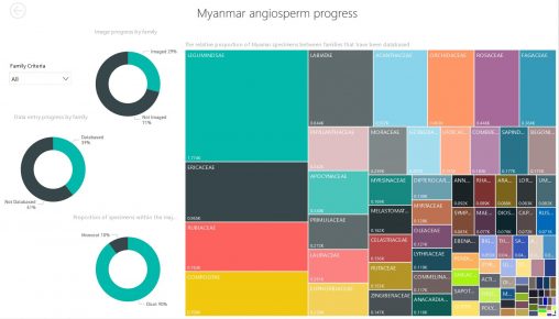 Data visualisation of Myanmar Angiosperm Digitisation progress