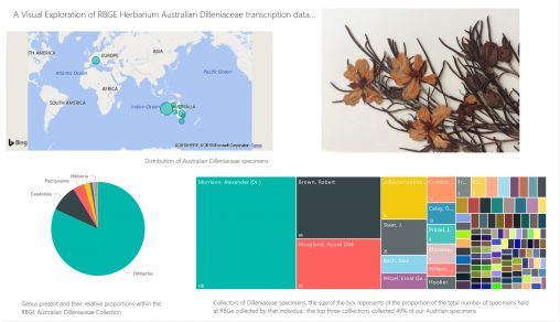 Dilleniaceae data visualisation 1