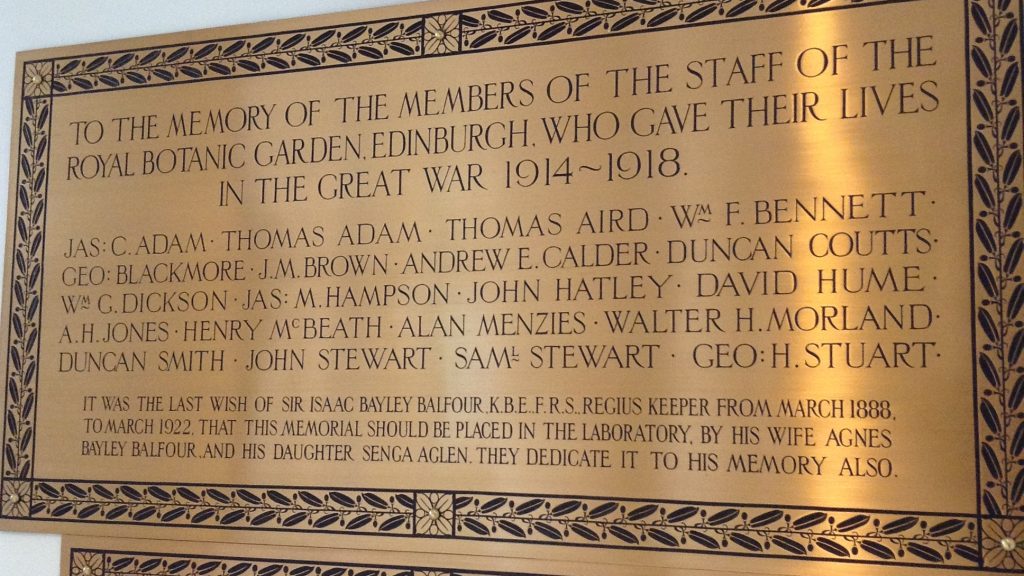 IMG 3842 e1566907326280