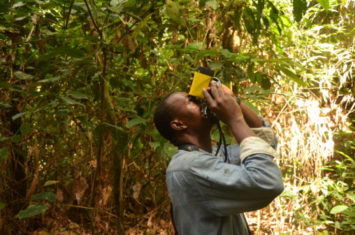 A man (shown from waist up) standing in a tropical forest using a tool to look up to the top of a tree and measure its height