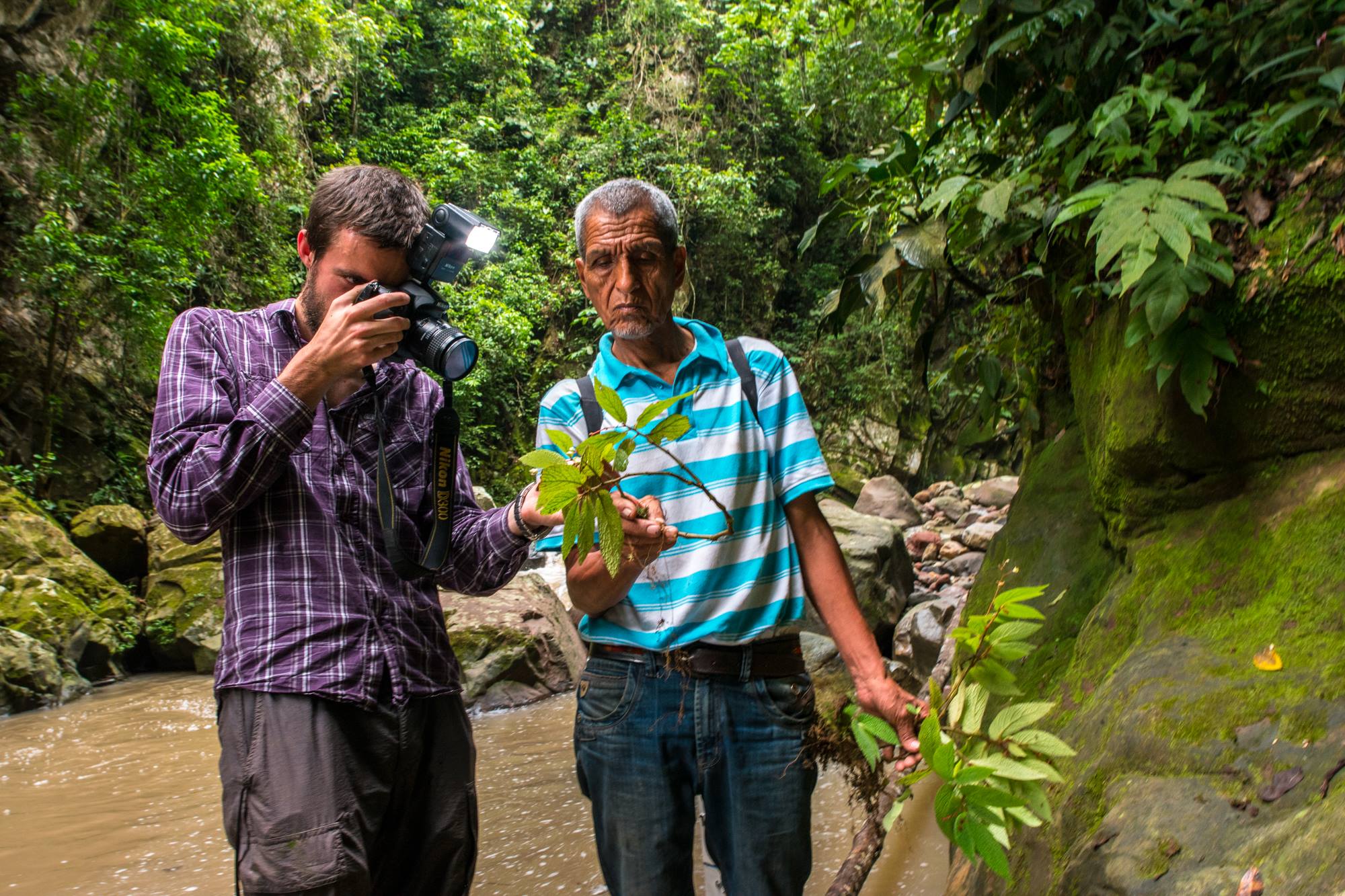 Finding new species on social media – Botanics Stories