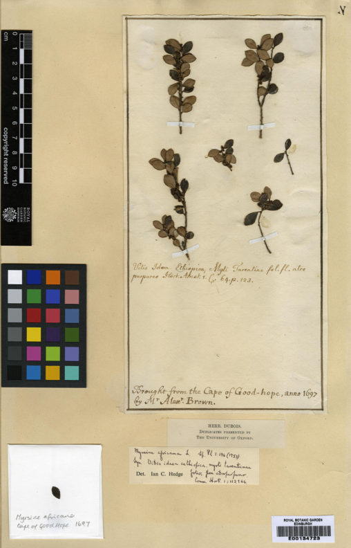 Using Herbarium Specimens to Understand Patterns of Plant Diversity Botanics Stories