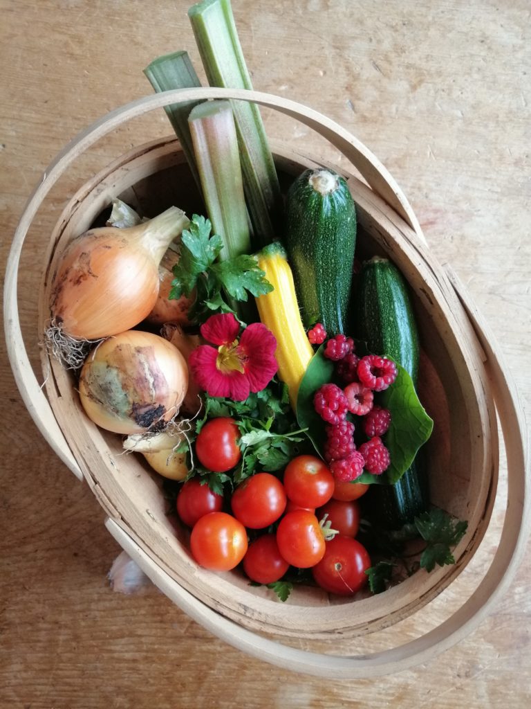 A basket of produce on the dining room table: onions, tomoatoes, courgettes, herbs, rhubarb, raspberries.
