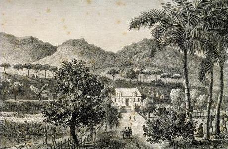 Antique engraving of Mauritius