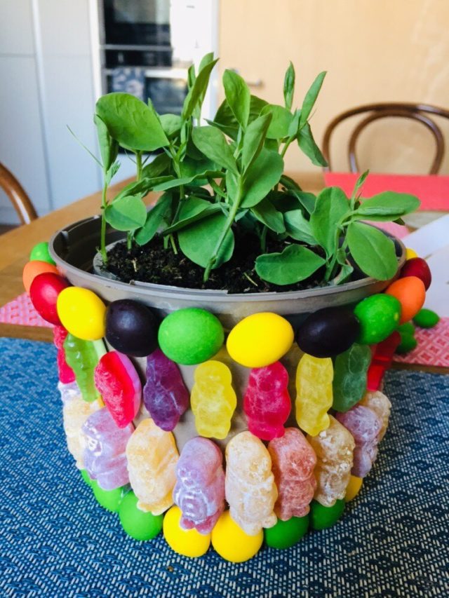 Plant Pot Pride Botanics Stories