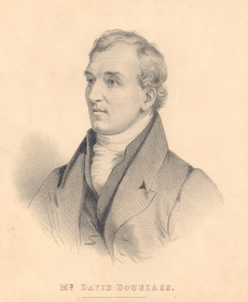 pencil drawing of a man looking to his right wearing a high-collared jacket and waistcoat.