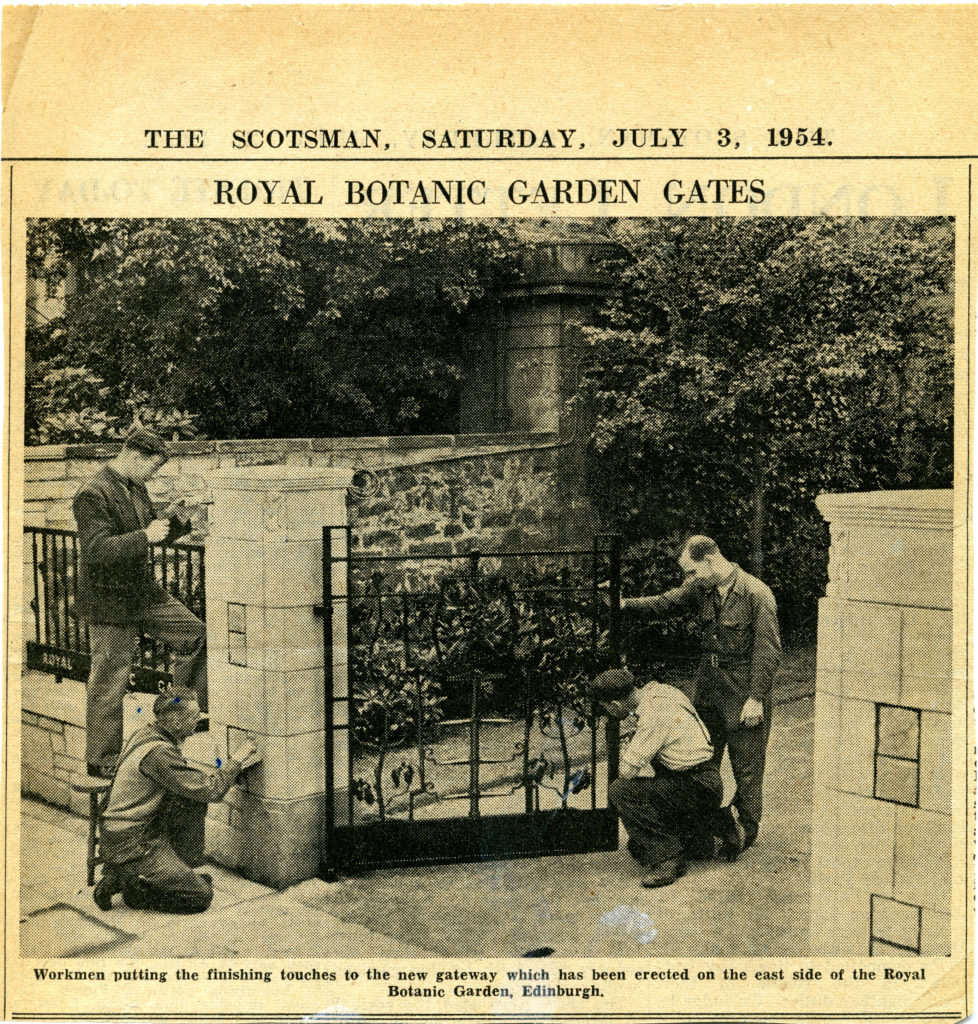 scan of a photograph from the Scotsman newspaper showing four men working on the gates at the east entrance of RBGE in 1954.