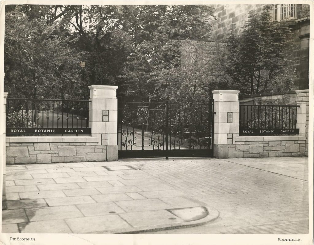 Black and white photograph from 1954 showing the completed gates at RBGE from Inverleith Row.