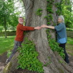 Two people hugging a large elm tree