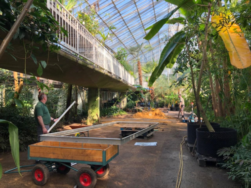 Inside of a Glasshouse with two horticulturists working to build a large bench for plants; a wheeled trolley in the foreground and an internal bridge overhead